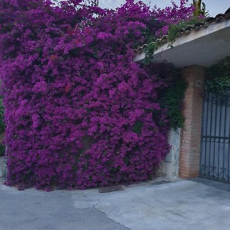 La Latomia Villa Nei Pressi Del Teatro Greco Syrakusa Exteriör bild