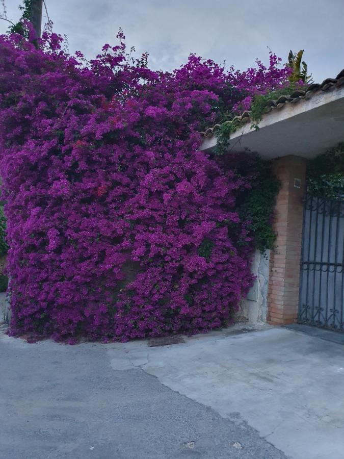 La Latomia Villa Nei Pressi Del Teatro Greco Syrakusa Exteriör bild